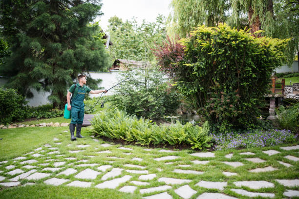 Trusted Stewartville, MN Pest Control Experts