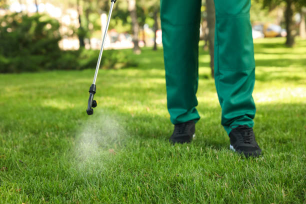 Best Residential Pest Control  in Stewartville, MN