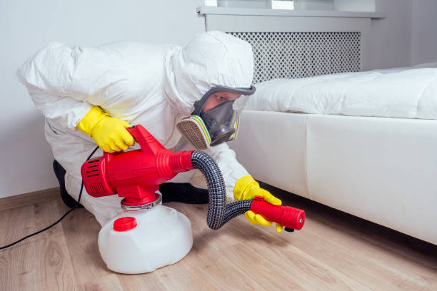 Best Emergency Pest Control  in Stewartville, MN