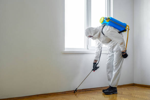 Best Pest Control Treatment  in Stewartville, MN