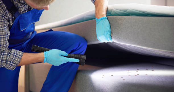Best Pest Control Near Me  in Stewartville, MN