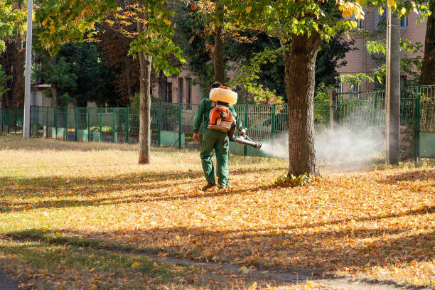 Best Cockroach Control Services  in Stewartville, MN