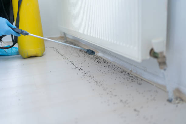 Best Pest Control for Businesses  in Stewartville, MN
